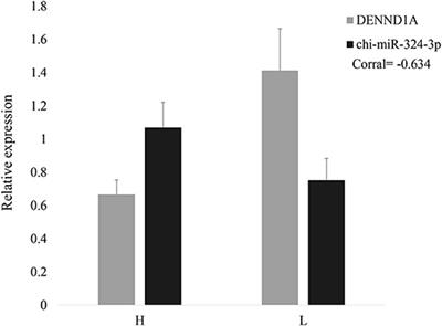 chi-miR-324-3p Regulates Goat Granulosa Cell Proliferation by Targeting DENND1A